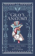 Henry Gray Gray's Anatomy