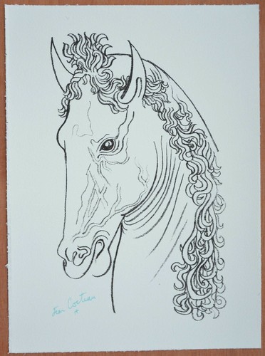 Superbe lithographie jean - superbe,