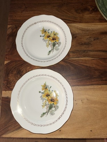 Lot des anciennes assiettes - des, 2