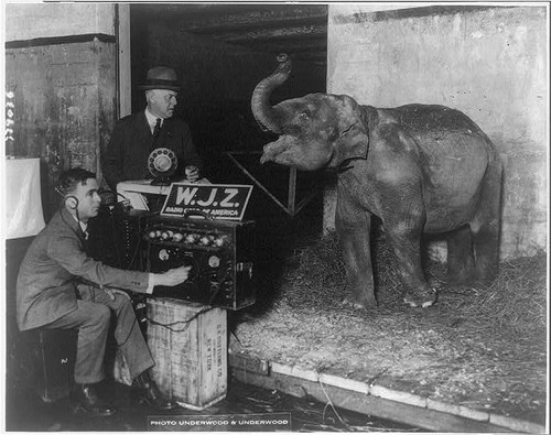 New york 1925 circus - york,