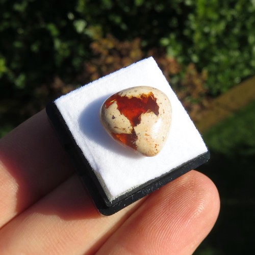 Minéraux favoloso opal de - ***,