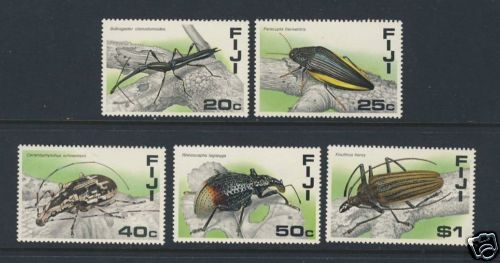 Beetles insects bugs - -,