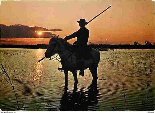 Carte postale animaux - postale,