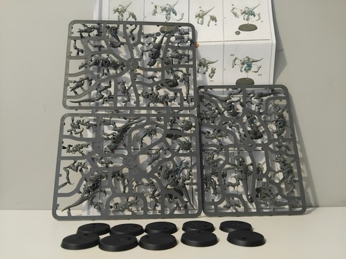 Termagants nuée de - 10, +