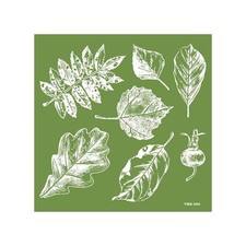 Pochoir silk réutilisable - thème nature feuillage tropical - 15 x 15 cm