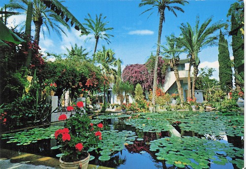 Maroc marrakech les jardins - marrakech,