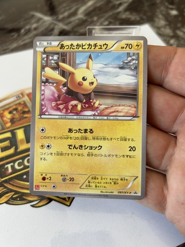 Pokemon japan warm - pokemon, pikachu