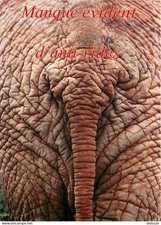 Carte postale animaux - carte,