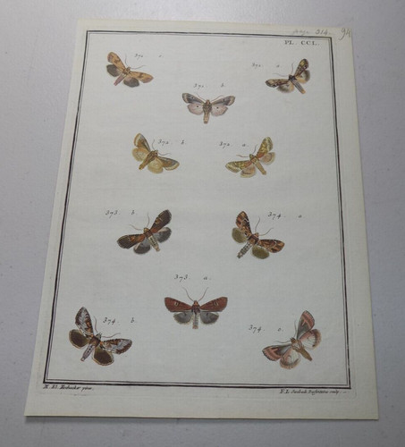 C1779 antique print ten - c1779,