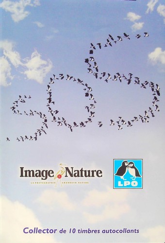 Collector timbres lettre - collector,