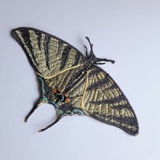 Patch brodé à coudre fait