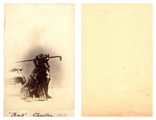 Chien noir Vintage albumen print, CDV. CDV, tirage albuminé, 6 x 10.5 cm, 