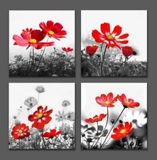 lot 4 toiles tableaux décoration cadre fleurs orchidée zen 30x30 cm  