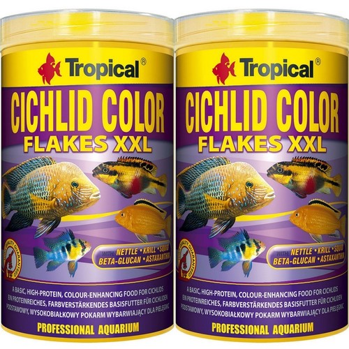 Tropical flocons couleur - flocons,