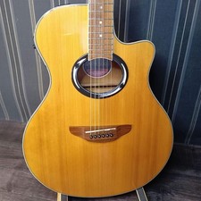 Guitare acoustique électrique