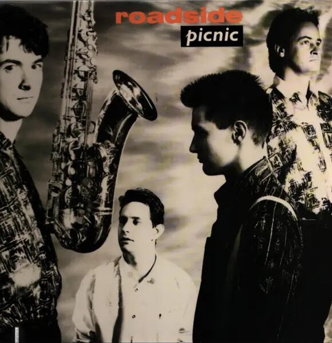Roadside picnic near mint - picnic,
