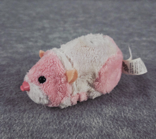 Zhu pets - jilly, 9.23