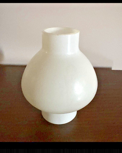 Globe lampe pigeon verre - globe,