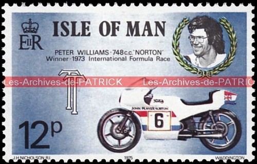 Williams peter norton 750 - williams,