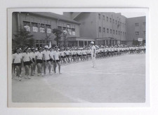 Ados, enfants cour école