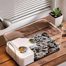 Aquarium pour tortues, rampe de lézardage, récipient polyvalent pour