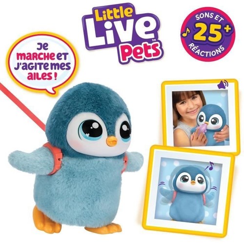 Mon petit pingouin moose - mon,