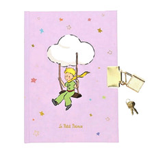 Journal intime, Livre secret