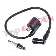 Bougie and Bobine d'allumage pour Quads Yamaha Raptor 350 YFM de 2004 à 2011