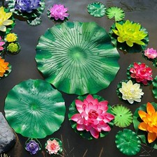 Plante flottante pour piscine