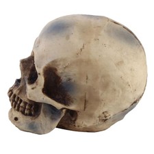 1: 1 Réplique Réaliste