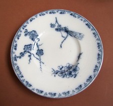 Sous Tasse à Café Service