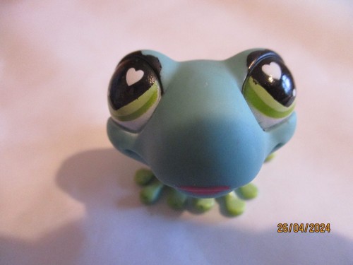 Petshop grenouille 559 - petshop,