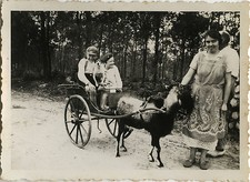 PHOTO ANCIENNE - VINTAGE