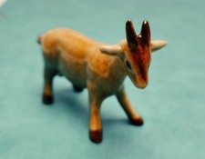 magnifique bouquetin miniature