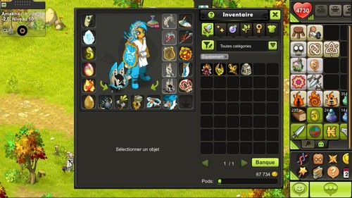 Dofus touch feca xel 200 - 200, full