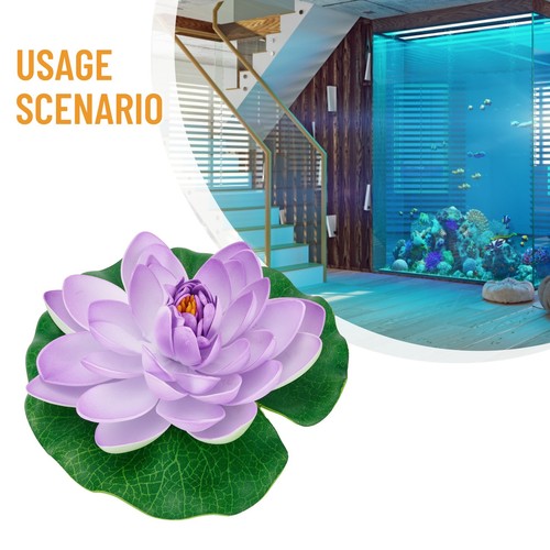 Lotus flottant nénuphar