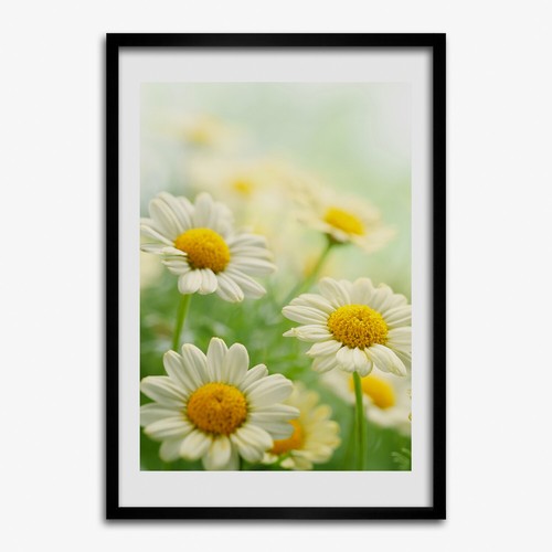 Photo 50x70cm décor - 50x70cm,