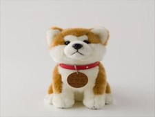 Peluche Akita Inu Preservation