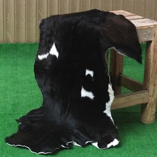 Élégant Black Goat Cachette