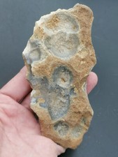 Lower Paleolithic France Acheulean Backed Scraper Knife Heidelbergensis Cupules