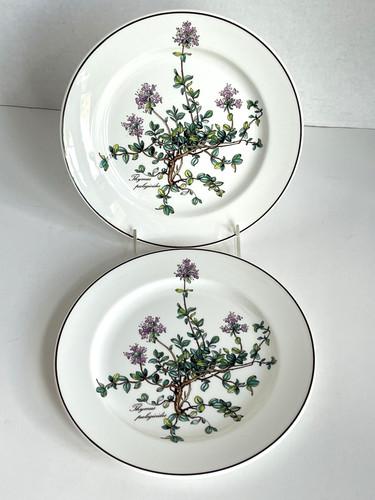 Villeroy boch botanica 2 - &,