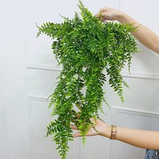 Plantes Artificielles