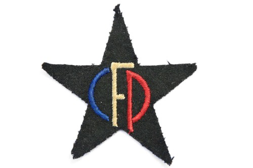 Insigne corps franc - corps,