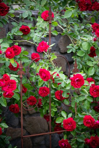 Treillis jardin métal 150 - de,