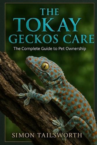 The tokay geckos - geckos, care: