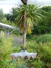 Ancien plafonnier en opaline blanche/rouge suspension avec griffe et porcelaine