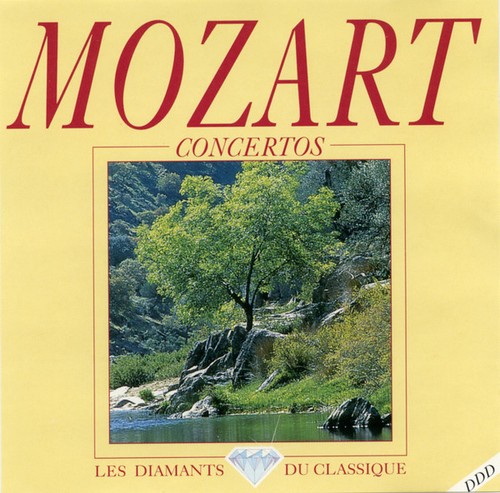 Wolfgang amadeus mozart - amadeus,