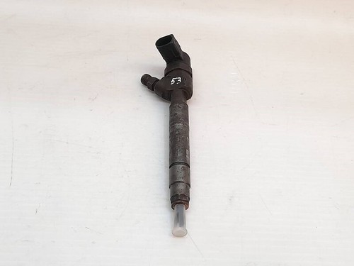 0445110011 injecteur