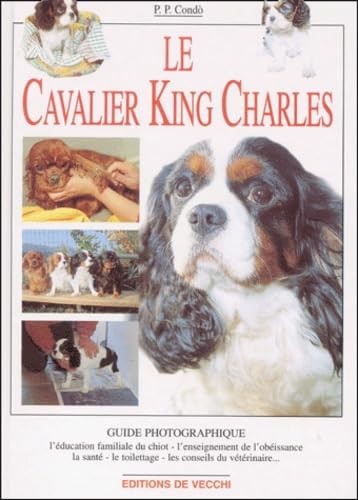 Cavalier king charles - king,