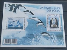 France Bloc Albatros manchot zone polaire Timbre N° 4350 NEUF** 2009